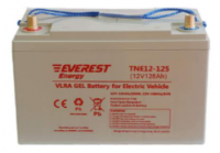 Аккумулятор 12V тяговый 100Ah GEL