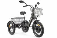 Трицикл GREEN CITY e-ALFA Trike Черный