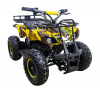 Электроквадроцикл ATV Classic 1000W