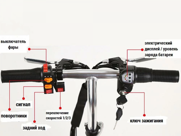 Электротрицикл Elbike Адъютант A1
