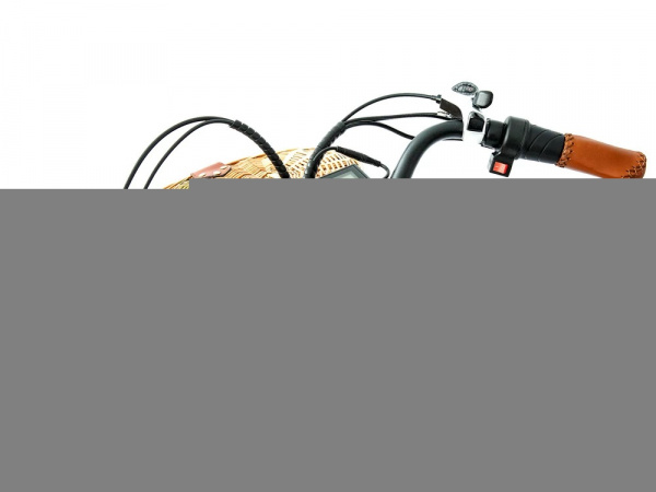 Электровелосипед Elbike Monro Vip