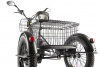Трицикл GREEN CITY e-ALFA Trike Черный