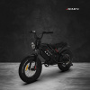Электровелосипед RAEV Bullet GT 750w 28Ah Black