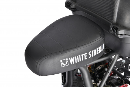 Электроскутер Citycoco White Siberia TRIKE MINI 1500W Черный