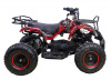 Электроквадроцикл ATV Classic 1000W