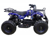 Электроквадроцикл ATV Classic 1000W