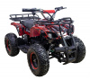 Электроквадроцикл ATV Classic 1000W